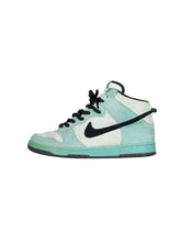 Load image into Gallery viewer, Nike Pro Sb High Sea Crystal Size 9 Left Side