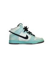 Load image into Gallery viewer, Nike Pro Sb High Sea Crystal Size 9 Left Inside