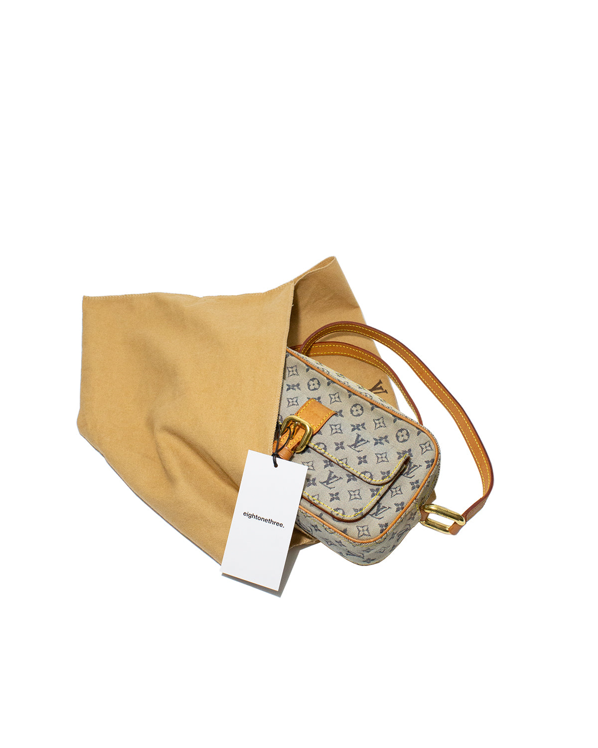 Louis Vuitton crossbodyPROJECT BAG - $100 - From Leeann