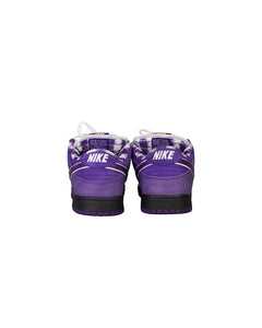 Nike Pro Sb x Concepts Purple Lobster Size 10 Right Back